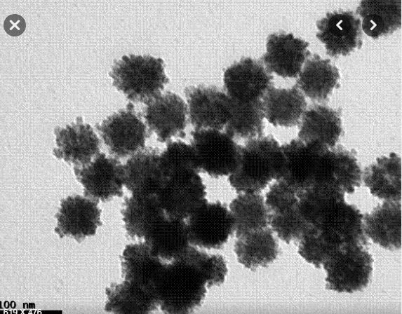 Cerium oxide nanoparticles